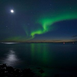 Meet your Posher, Brittney